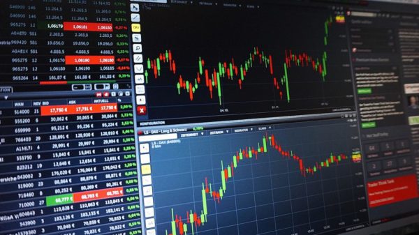 Quais fatores devemos olhar na hora de escolher um investimento?