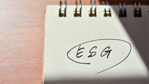 Investimento Sustentável: conheça o ESG!