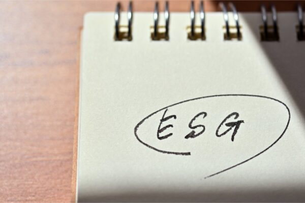 Investimento Sustentável: conheça o ESG!