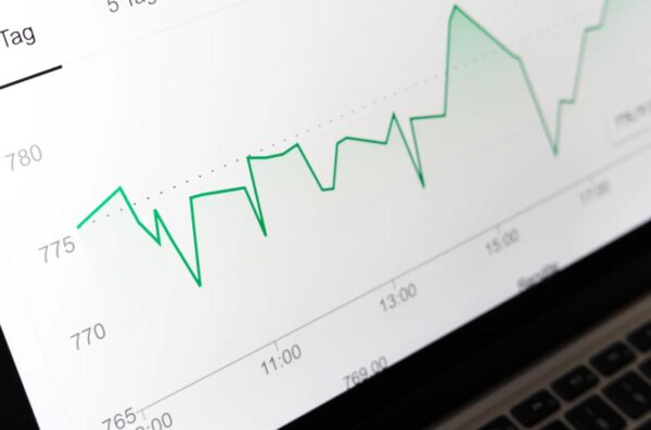 Guia do investidor de primeira viagem: confira o processo para começar a investir!