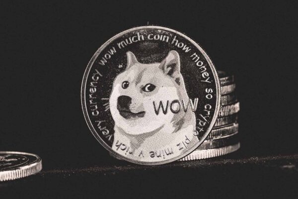 Dogecoin: saiba tudo sobre esse tipo de criptomoeda