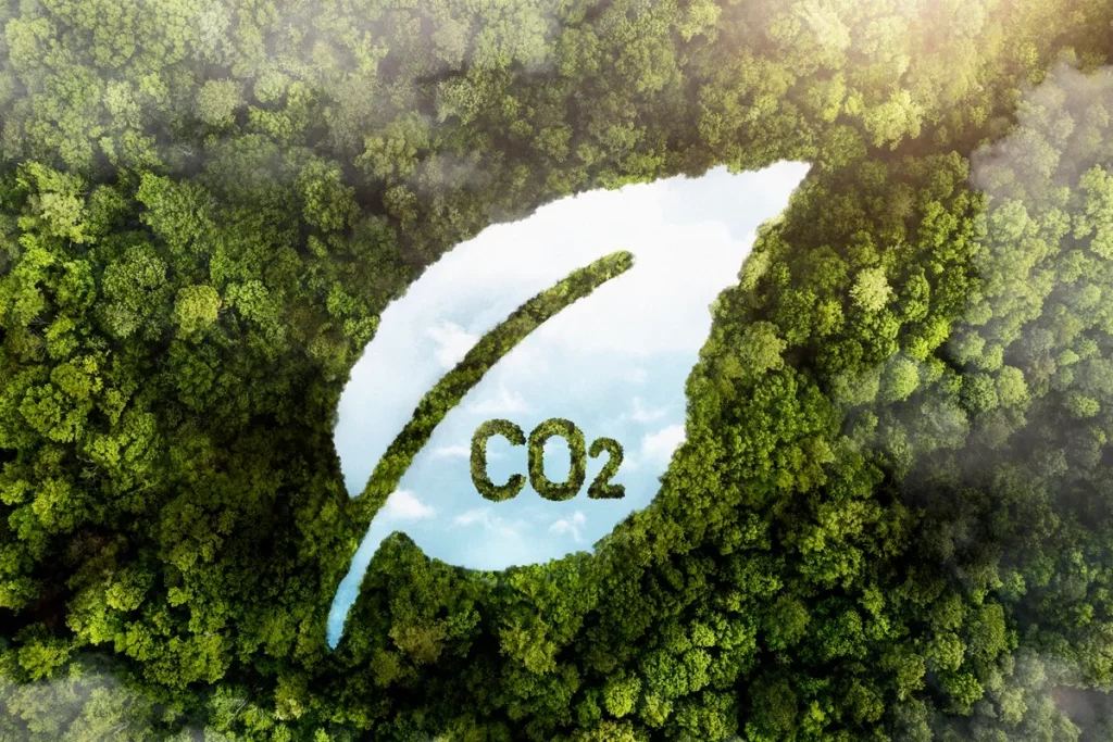 Imagem conceitual representando a compensação de carbono, onde uma clareira no meio da floresta forma o desenho de uma folha com a inscrição "CO₂". O céu azul aparece ao fundo, simbolizando sustentabilidade e ações para a redução das emissões de carbono.