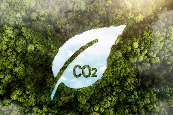 Como investir em crédito de carbono de forma rentável e sustentável​?