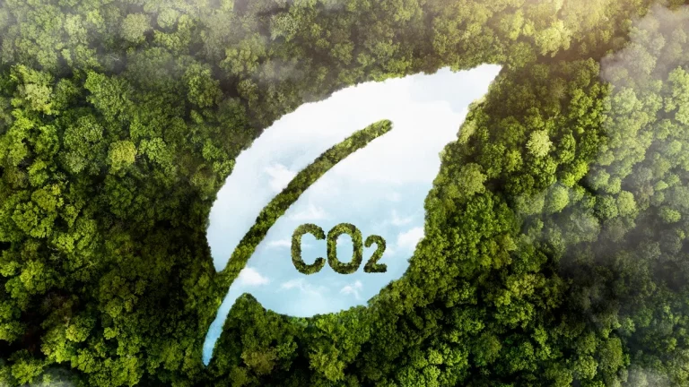 Imagem conceitual representando a compensação de carbono, onde uma clareira no meio da floresta forma o desenho de uma folha com a inscrição "CO₂". O céu azul aparece ao fundo, simbolizando sustentabilidade e ações para a redução das emissões de carbono.