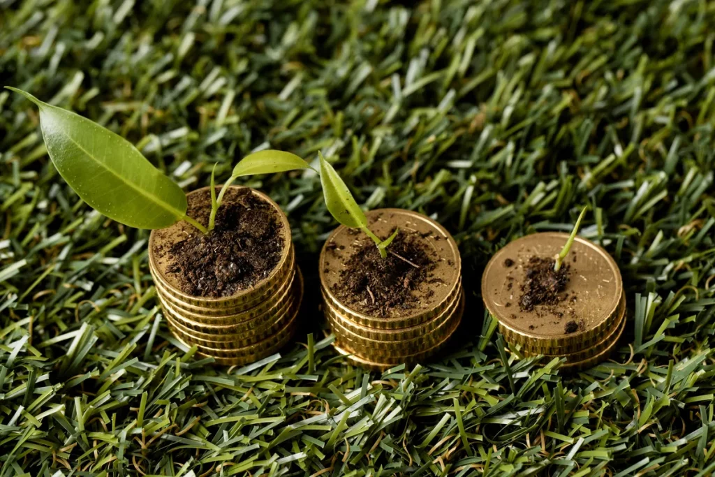 Moedinhas com plantas crescendo sobre elas, simbolizando crescimento financeiro sustentável