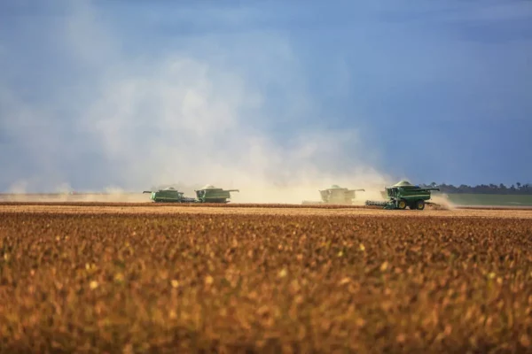 FIAGROs: o que são e como investir no agronegócio via mercado financeiro
