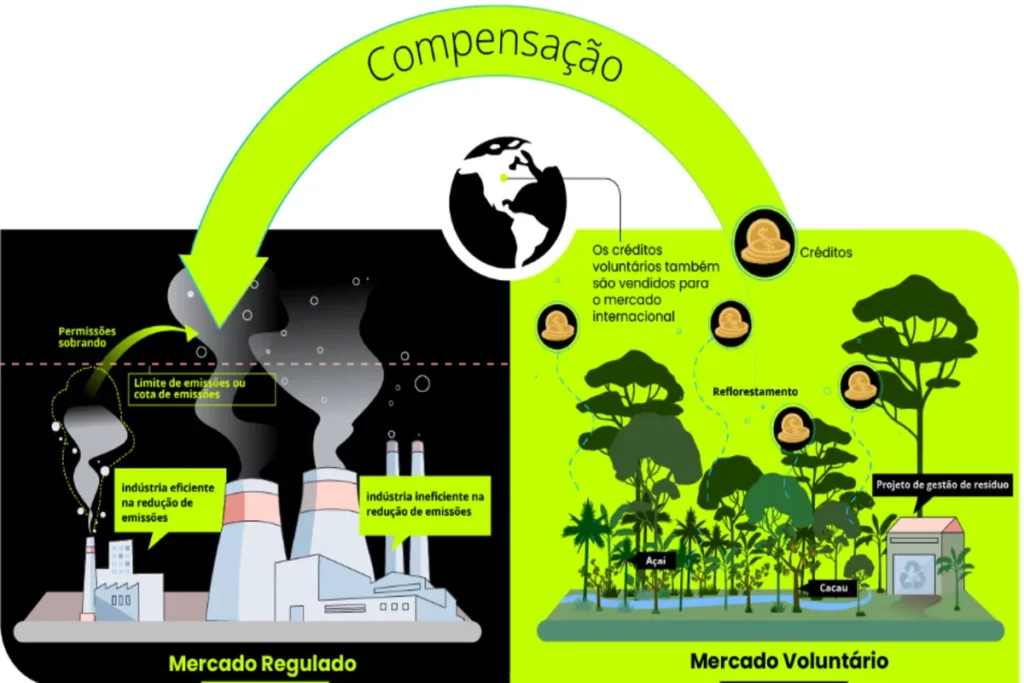 Infográfico ilustrando o funcionamento do Mercado de Carbono, separando o Mercado Regulado de emissões e o Mercado Voluntário de créditos de carbono para compensação.